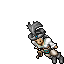Pirate